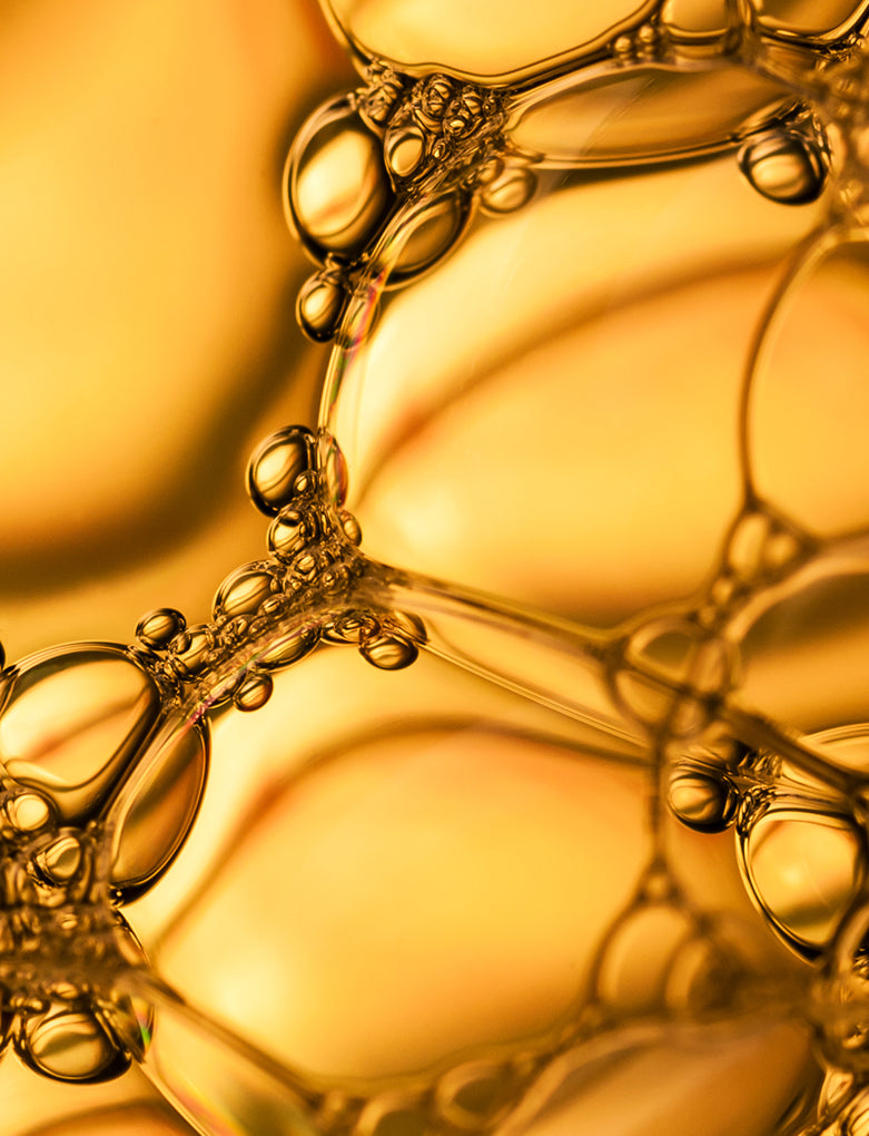 Ceramides